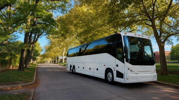 mountain view bachelor and bachelorette party bus rentals
